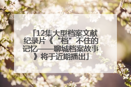 12集大型档案文献纪录片《“档”不住的记忆——聊城档案故事》将于近期播出