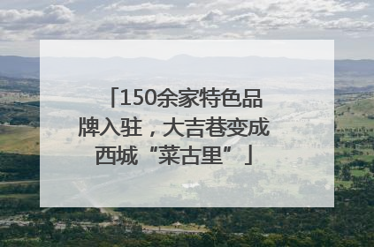 150余家特色品牌入驻，大吉巷变成西城“菜古里”