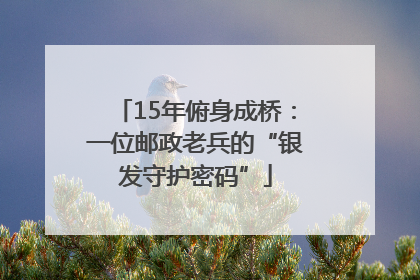 15年俯身成桥：一位邮政老兵的“银发守护密码”