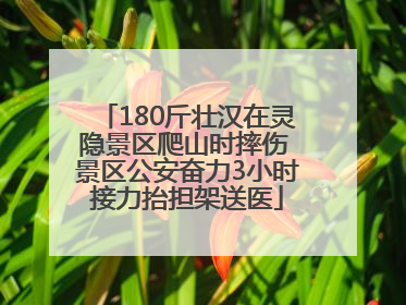 180斤壮汉在灵隐景区爬山时摔伤 景区公安奋力3小时接力抬担架送医