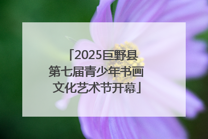 2025巨野县第七届青少年书画文化艺术节开幕