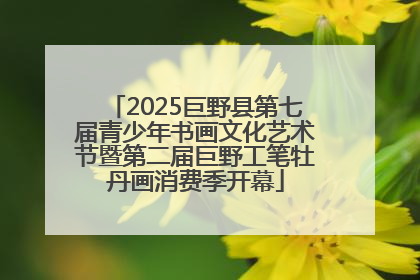 2025巨野县第七届青少年书画文化艺术节暨第二届巨野工笔牡丹画消费季开幕