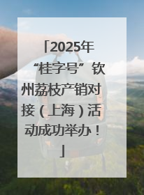 2025年“桂字号”钦州荔枝产销对接（上海）活动成功举办！