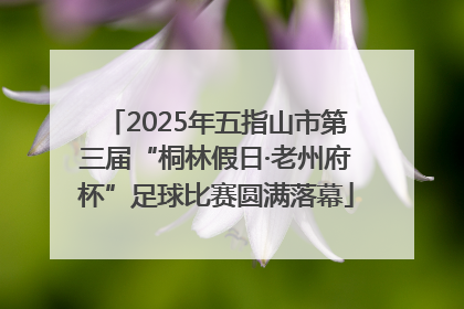 2025年五指山市第三届“桐林假日·老州府杯”足球比赛圆满落幕