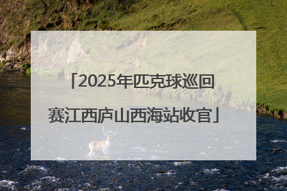 2025年匹克球巡回赛江西庐山西海站收官