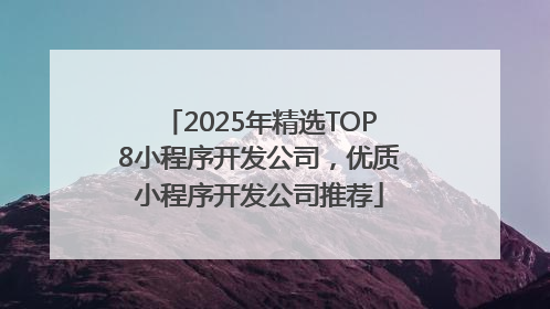 2025年精选TOP8小程序开发公司，优质小程序开发公司推荐