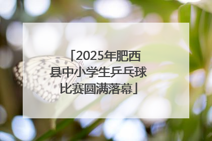 2025年肥西县中小学生乒乓球比赛圆满落幕