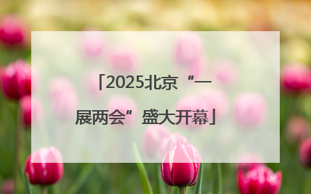 2025北京“一展两会”盛大开幕