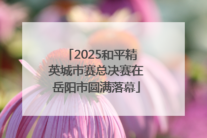 2025和平精英城市赛总决赛在岳阳市圆满落幕