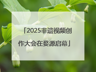 2025非遗视频创作大会在婺源启幕