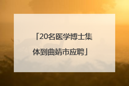20名医学博士集体到曲靖市应聘