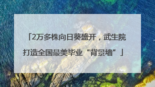 2万多株向日葵盛开，武生院打造全国最美毕业“背景墙”