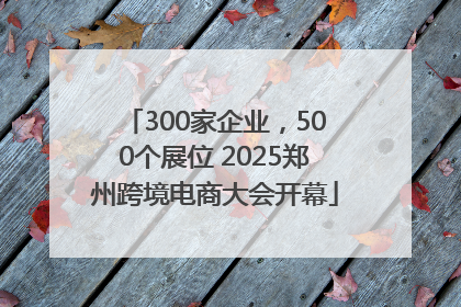300家企业，500个展位 2025郑州跨境电商大会开幕