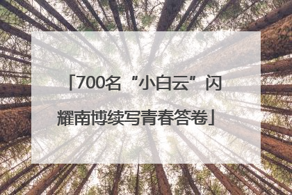 700名“小白云”闪耀南博续写青春答卷