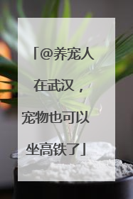 @养宠人 在武汉，宠物也可以坐高铁了