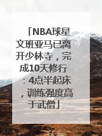 NBA球星文班亚马已离开少林寺，完成10天修行：4点半起床，训练强度高于武僧