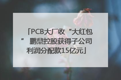 PCB大厂收“大红包” 鹏鼎控股获得子公司利润分配款15亿元